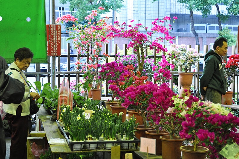 Chợ cây cảnh vào năm mới tại Đài Loan